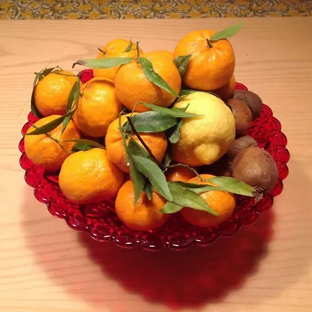 Casamia בית נופש