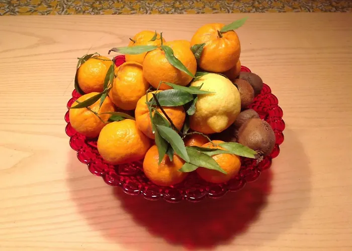 Casamia Дом отдыха