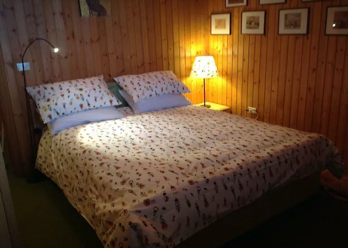 Casamia * Рокказаро